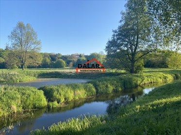 Działka 15 588 m² z warunkami zabudowy i stawem - polecam! działka Czersk