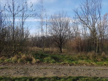 Działka budowlana na sprzedaż Myślenice, Zarabie 1 008m2 Foto 4