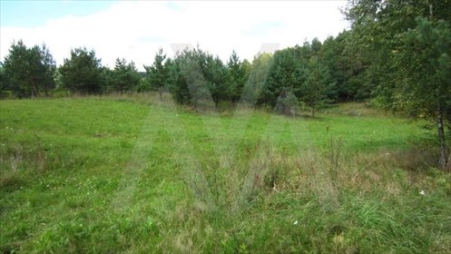 Działka siedliskowa na sprzedaż Pawłowo, Xxx 28 911m2 Foto 7