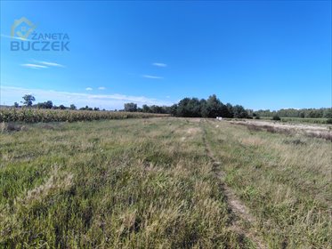 Działka 1450 m² z MPZP, usługowo-mieszkalna polecam działka Dachowa