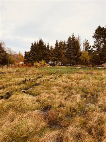 działka na sprzedaż 600m2 działka Karwieńskie Błoto Drugie