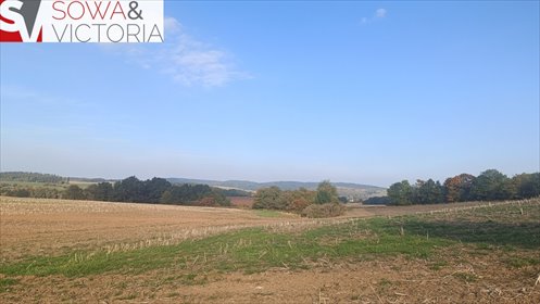 Działki 1000 m² w Starych Bogaczowicach (z dostępem do prądu) działka Stare Bogaczowice