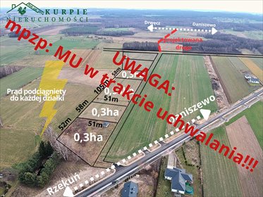 działka na sprzedaż 3000m2 działka Daniszewo