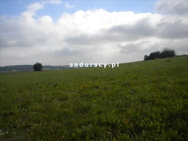 Działka rolna na sprzedaż Gołyszyn 28 520m2 Foto 5