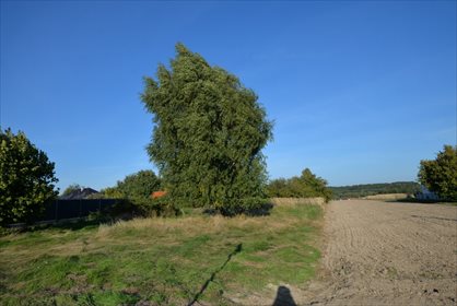działka na sprzedaż 3300m2 działka Wodzisław Śląski, Bolesława Chrobrego
