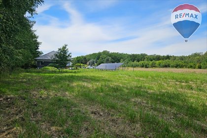 Inwestycyjna działka 4036 m² w Skierniewicach. działka Skierniewice, Kasztanowa