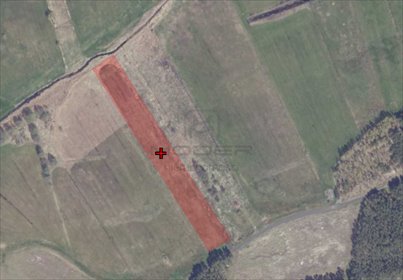 Do sprzedania działka rolna 1 ha bez zabudowy w Lemierzycach działka Lemierzyce