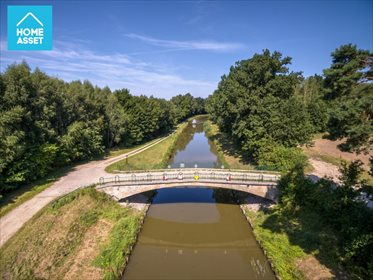 Działka inwestycyjna na sprzedaż Krasin 48 296m2 Foto 7