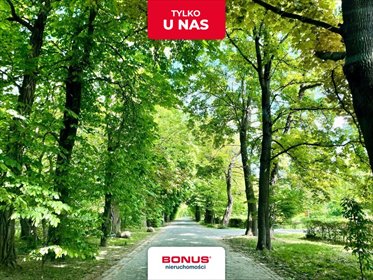 działka na sprzedaż 3684m2 działka Ożarów Mazowiecki, Srebrzysta Aleja