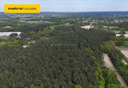 działka na sprzedaż 22484m2 działka Wilczkowice