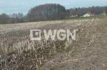 Działka budowlana na sprzedaż Racławice Wielkie, Racławice Wielkie, Racławice Wielkie 1 514m2 Foto 2