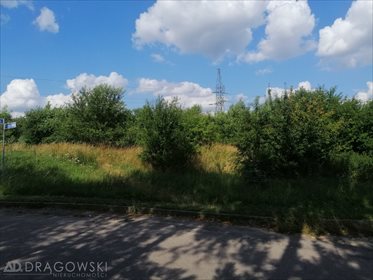 Działka budowlana na sprzedaż Ryki 8 707m2 Foto 4