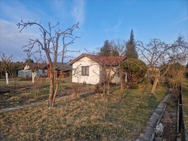 Urokliwy domek letniskowy 20 m2 w Piotrkowie Trybunalskim dom Piotrków Trybunalski, Belzacka