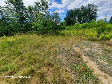 działka na sprzedaż 775m2 działka Pysznica, Akacjowa