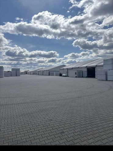 Zapraszam do wynajmu placu 40 000 m² przy DK92 w Teresinie działka Paprotnia, DK92