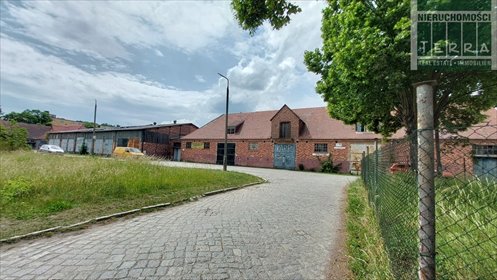 działka na sprzedaż 8322m2 działka Krosno Odrzańskie