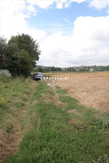 Działka budowlana na sprzedaż Prandocin-Iły 5 000m2 Foto 5