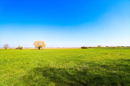 dom na sprzedaż 190m2 dom Czerlejno