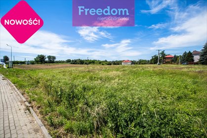 Działka inwestycyjna na sprzedaż Duńkowiczki 17 670m2 Foto 7