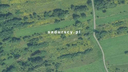 Działka budowlana na sprzedaż Wieliczka, Podstolice 5 500m2 Foto 3
