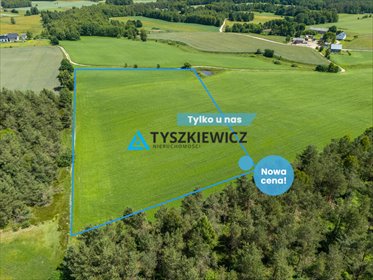 Na sprzedaż 2 ha ziemi w Kaszubach – MPZP, las, zalesienie działka Klukowa Huta