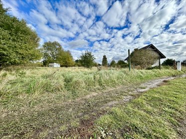 działka na sprzedaż 2600m2 działka Rynarzewo