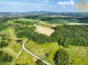 działka na sprzedaż 10100m2 działka Szerzyny