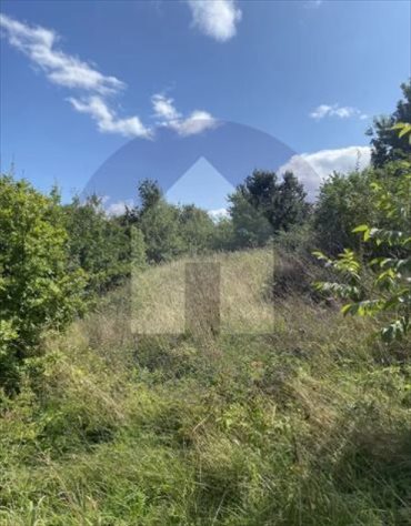 działka na sprzedaż 3200m2 działka Piława Górna