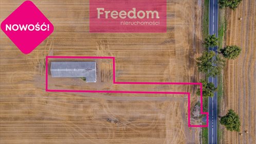 Magazyn na wynajem Panigródz 1 850m2 Foto 3