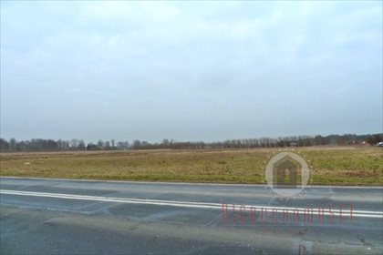 działka na sprzedaż 7492m2 działka Bolemin