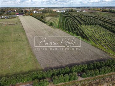 7 Działek budowlanych w Chynowie - gotowa inwestycja działka Chynów