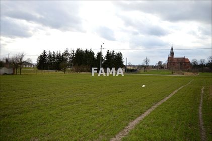 działka na sprzedaż 3000m2 działka Chełmica Duża