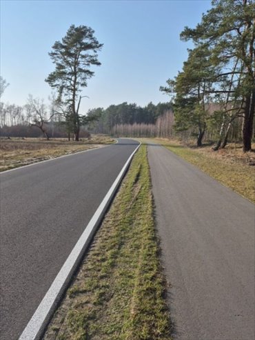 działka na sprzedaż 21800m2 działka Reptowo