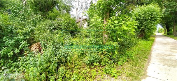 działka na sprzedaż 4900m2 działka Grodzisk Mazowiecki