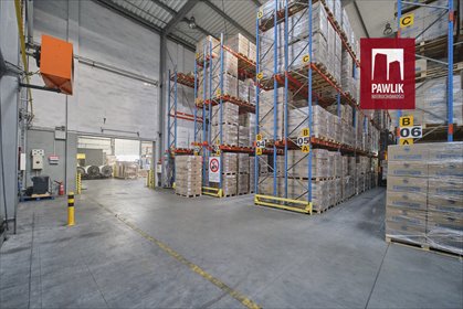 Magazyn 2687 m² z dokami i biurem (Łódź, Teofilów) magazyn Łódź, Teofilów, Teofilów