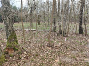 działka na sprzedaż 2500m2 działka Złotokłos