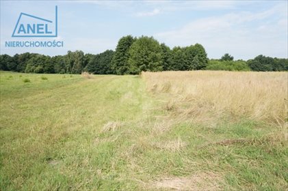 Działka rolna na sprzedaż Mikołów, Paniowy 3 260m2 Foto 6