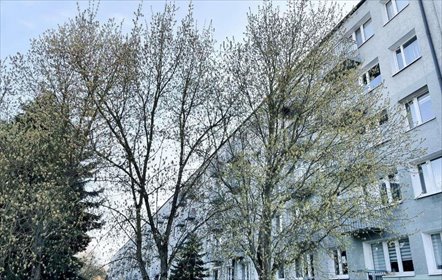 mieszkanie na sprzedaż 64m2 mieszkanie Poznań, Winogrady, os. Wichrowe Wzgórze