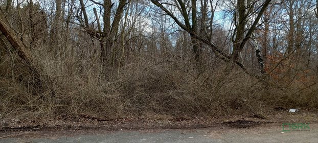 Duża działka inwestycyjna 44 411 m² w Katowicach - lasy i dostęp działka Katowice, Murcki, Goetla