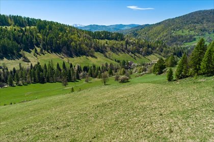 Działka budowlana na sprzedaż Wierchomla Wielka, Piwniczna-Zdrój 50 000m2 Foto 6