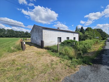 dom na sprzedaż 100m2 dom Proboszczowice