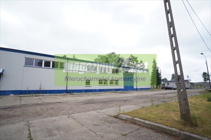 magazyn na sprzedaż 19300m2 magazyn Śniadowo
