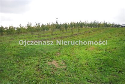 Polecam działki budowlane 1509 m² w Tryszczynie, blisko Bydgoszczy działka Tryszczyn