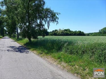 Działka 1430 m² z warunkami zabudowy, asfaltowy dojazd działka GRYFICE OKOLICA