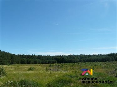 działka na sprzedaż 47000m2 działka Moczydło