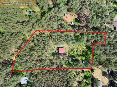 Do sprzedania działka 6264 m² z budynkiem i tarasem w Nowej Wsi działka Nowa Wieś