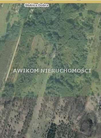 działka na sprzedaż 55000m2 działka Żabia Wola, Słubica Dobra