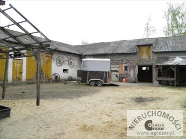 Magazyn na sprzedaż Jakubów 300m2 Foto 4