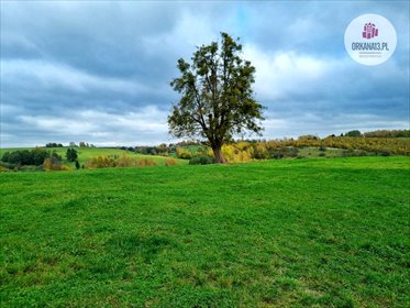 działka na sprzedaż 105100m2 działka Orzechowo, Orzechowo