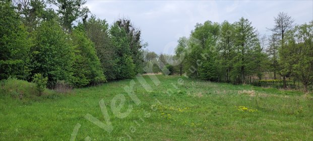 działka na sprzedaż 4169m2 działka Ligota Piękna